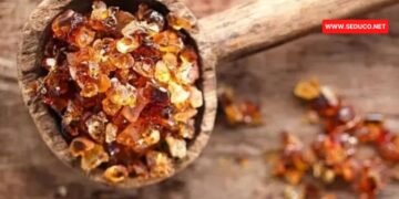 acacia akasya gami surubu kullananlar