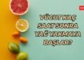 Diyet yaparken vücut ne zaman yağ yakmaya başlar?