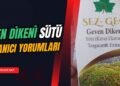 geven dikeni sütü sigara yorumları
